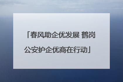 春风助企优发展 鹤岗公安护企优商在行动